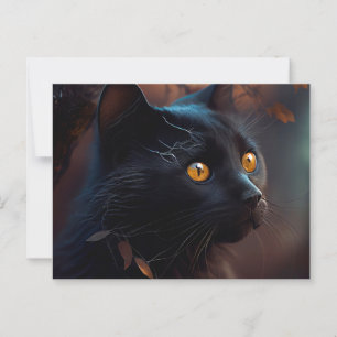 Black Cat Postcards