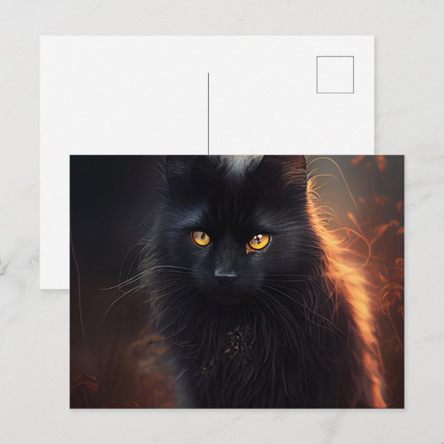 Black Cat Postcards (Front/Back)