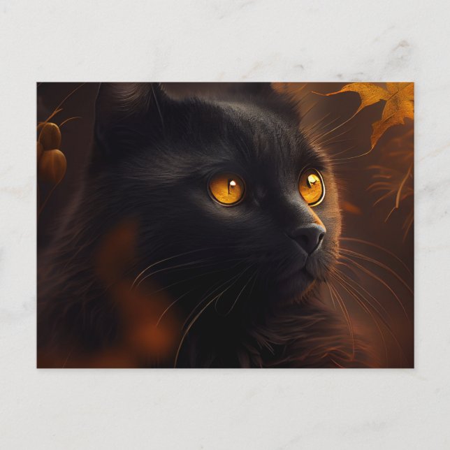 Black Cat Postcards (Front)