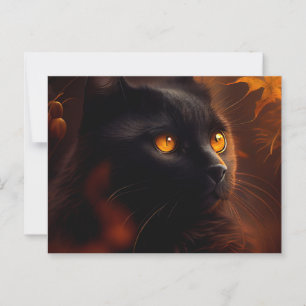 Black Cat Postcards