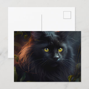 Black Cat Postcards