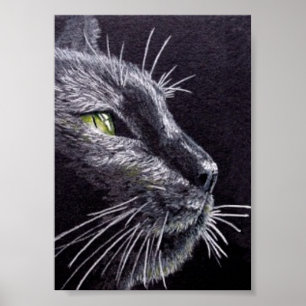 Black Cat Poster