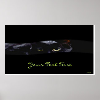 Black Cat Print