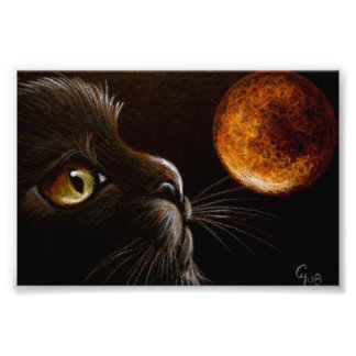 BLACK CAT PROFILE ORANGE MOON HALLOWEEN NIGHT PHOTO PRINT