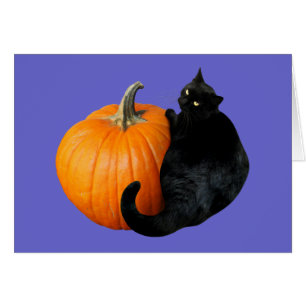 Black Cat Pumpkin