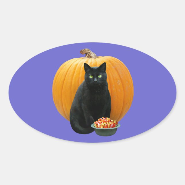 Black Cat Pumpkin Oval Sticker (Front)
