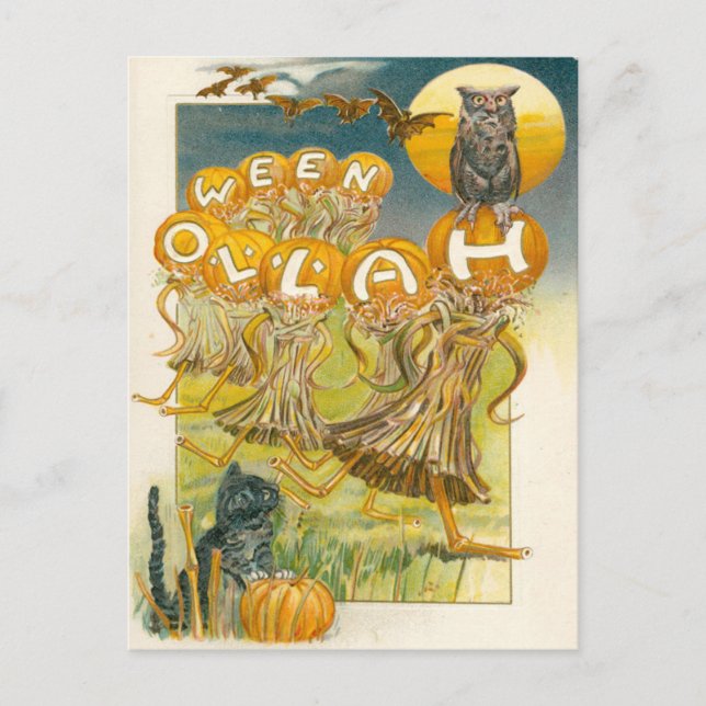 Black Cat Pumpkin Owl Bat Moon Postcard (Front)