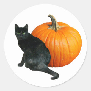 Black Cat Pumpkin Sticker
