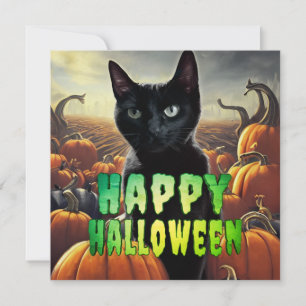Black Cat & Pumpkins