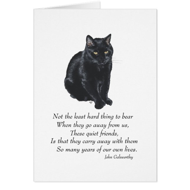 Black Cat Rainbow Bridge (Front)