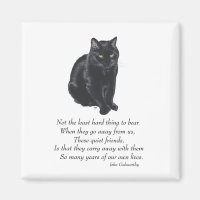 Black Cat Rainbow Bridge
