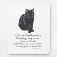 Black Cat Rainbow Bridge