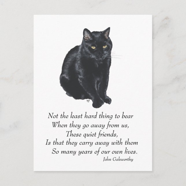 Black Cat Rainbow Bridge Postcard (Front)