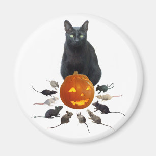 Black Cat, Rats and Jack-o-Lantern Magnet