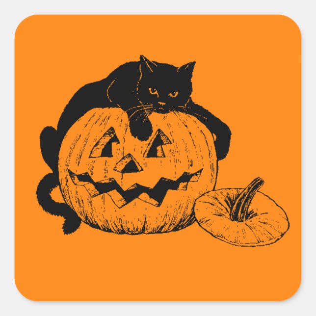 Black Cat Resting On Top of a Carved Pumpkin Square Sticker (Front)