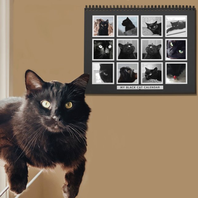 Black Cat Retro Picture Frame Pet Photo Calendar (We all take pictures of our cats. (I have hundreds lol) Add your favorites to this cat calendar)