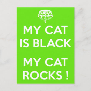 Black cat rocks postcard