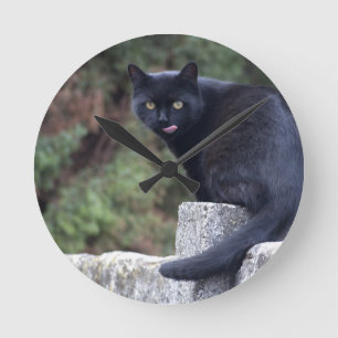 Black Cat Round Clock