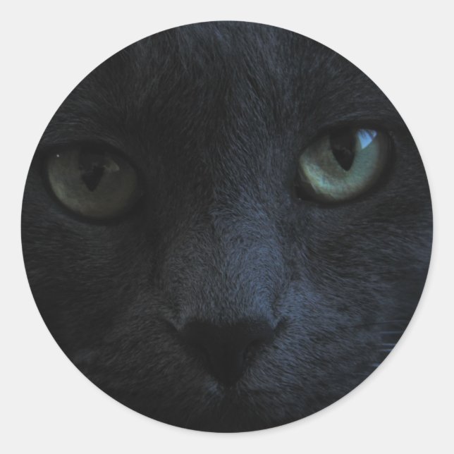 Black Cat Round Sticker (Front)