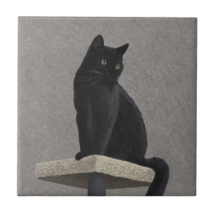 Black Cat Royalty  Tile