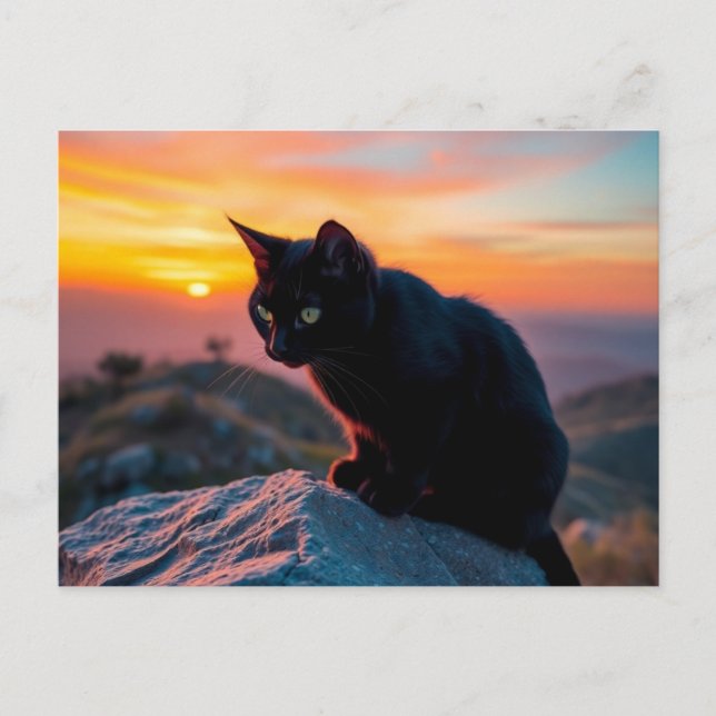 Black Cat Silhouette at Sunset Postcard (Front)