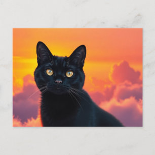 Black Cat Silhouette at Sunset Postcard
