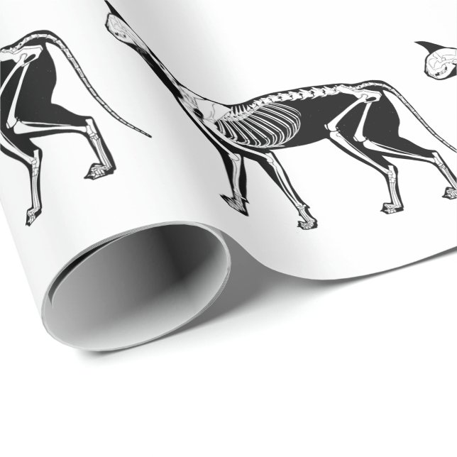 Black Cat Silhouette Skeleton Wrapping Paper (Roll Corner)
