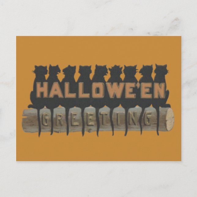 Black Cat Sitting On Log Shadow Postcard (Front)