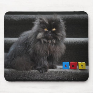Black cat sitting on stairs by building blocks. mouse mat