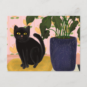Black Cat Sitting Pretty in Pink Postcard