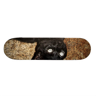black cat skateboard