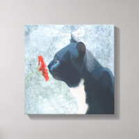 Black Cat Sniffing Flower