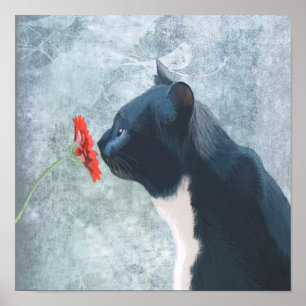 Black Cat Sniffing Flower Poster