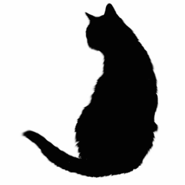 Black Cat Standing Photo Sculpture (Front)