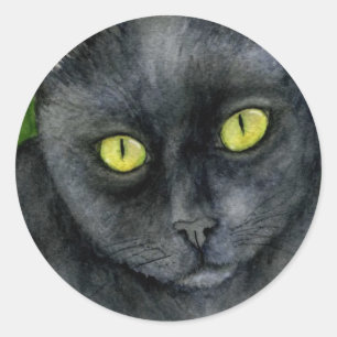 Black Cat Sticker