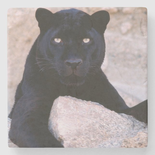 Black Cat Stone Coaster (Front)