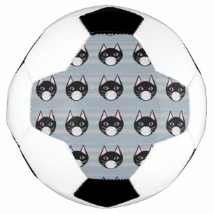 Black Cat, Stripes Football