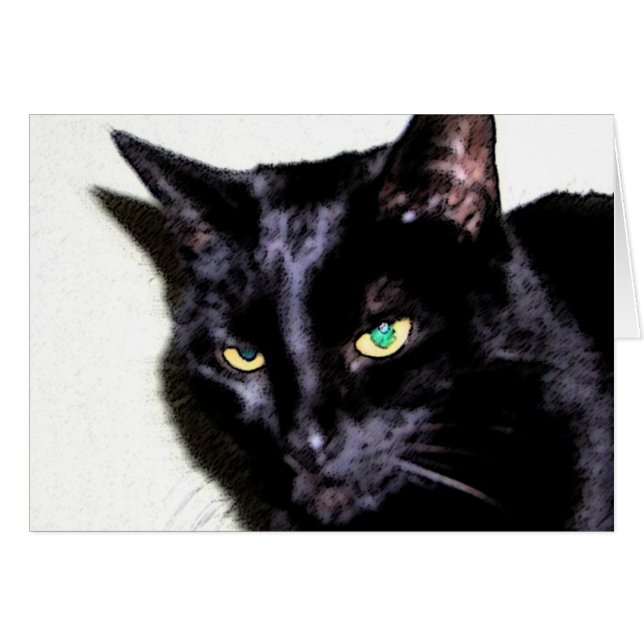 Black Cat Sumio (Front Horizontal)