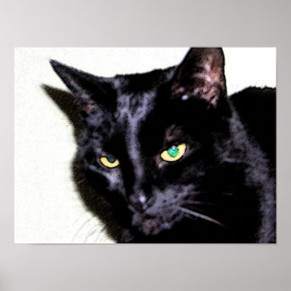 Black Cat Sumio Poster