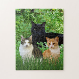 Black Cat Tabby Cat Fun Cats in Garden  Jigsaw Puzzle
