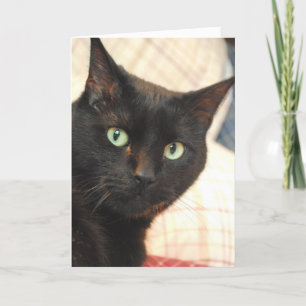 Black Cat Thank You Card