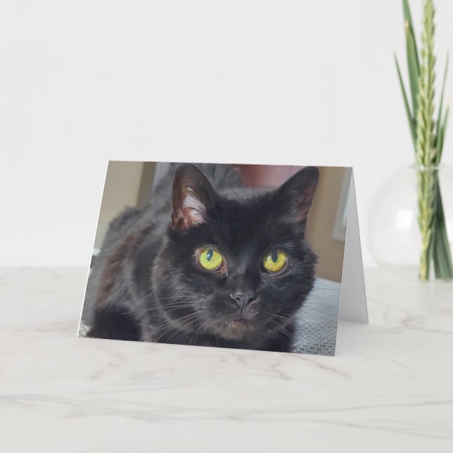 Black cat thank you card (Front)