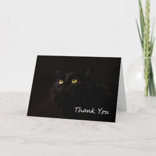 Black Cat Thank You Card by Focus for a Cause