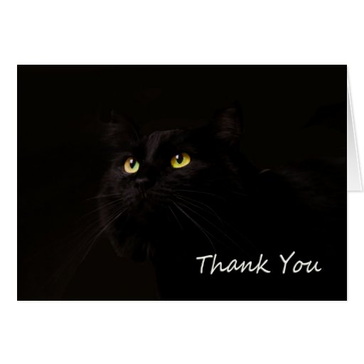 Image of Black Cat Thank You Card by Focus for a Cause