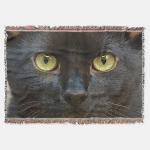 Black cat throw blanket