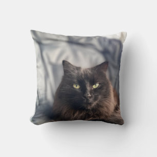 Black Cat Throw Pillow
