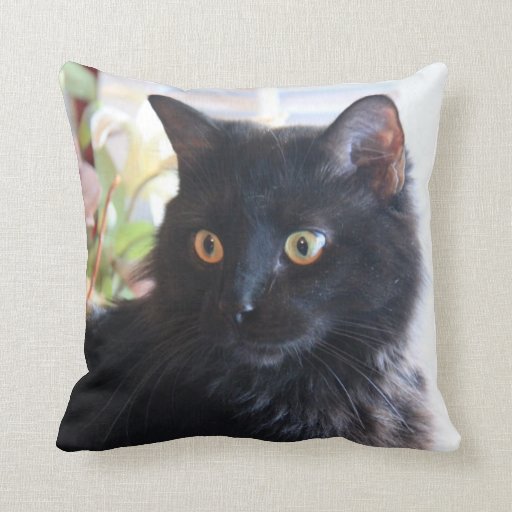 Image of Black Cat, throw pillow
