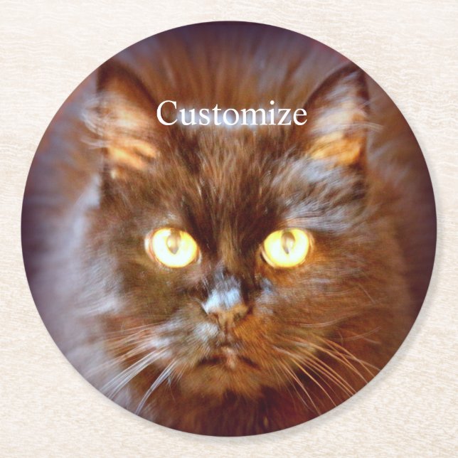 Black Cat Thunder_Cove Round Paper Coaster (Front)