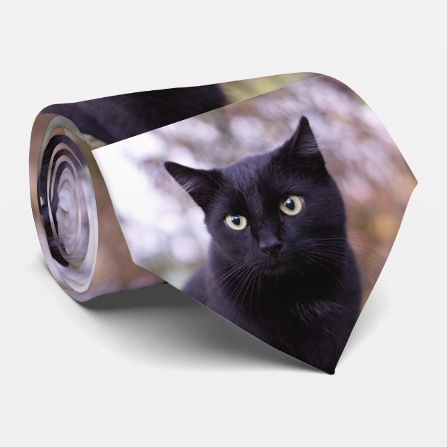 black cat tie (Rolled)