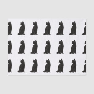 Black Cat Tissue Paper